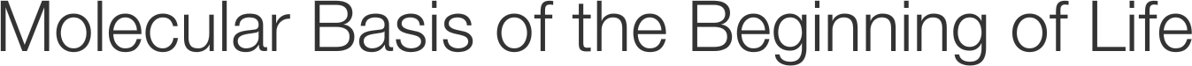 Molecular Basis of the Beginning of Life
