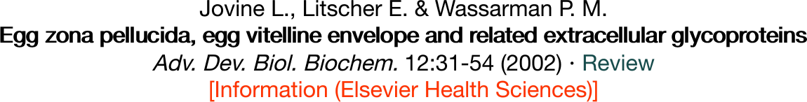 Jovine L., Litscher E. &
